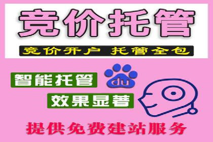 竞价代运营案例解析：中小企业如何快速崛起